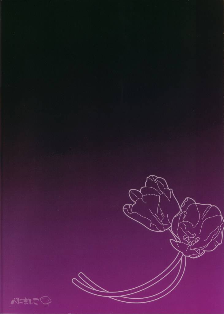 cctokyo124-arikamatou-benimashiko-shimai-no-taikutsu-dragon-quest-iv