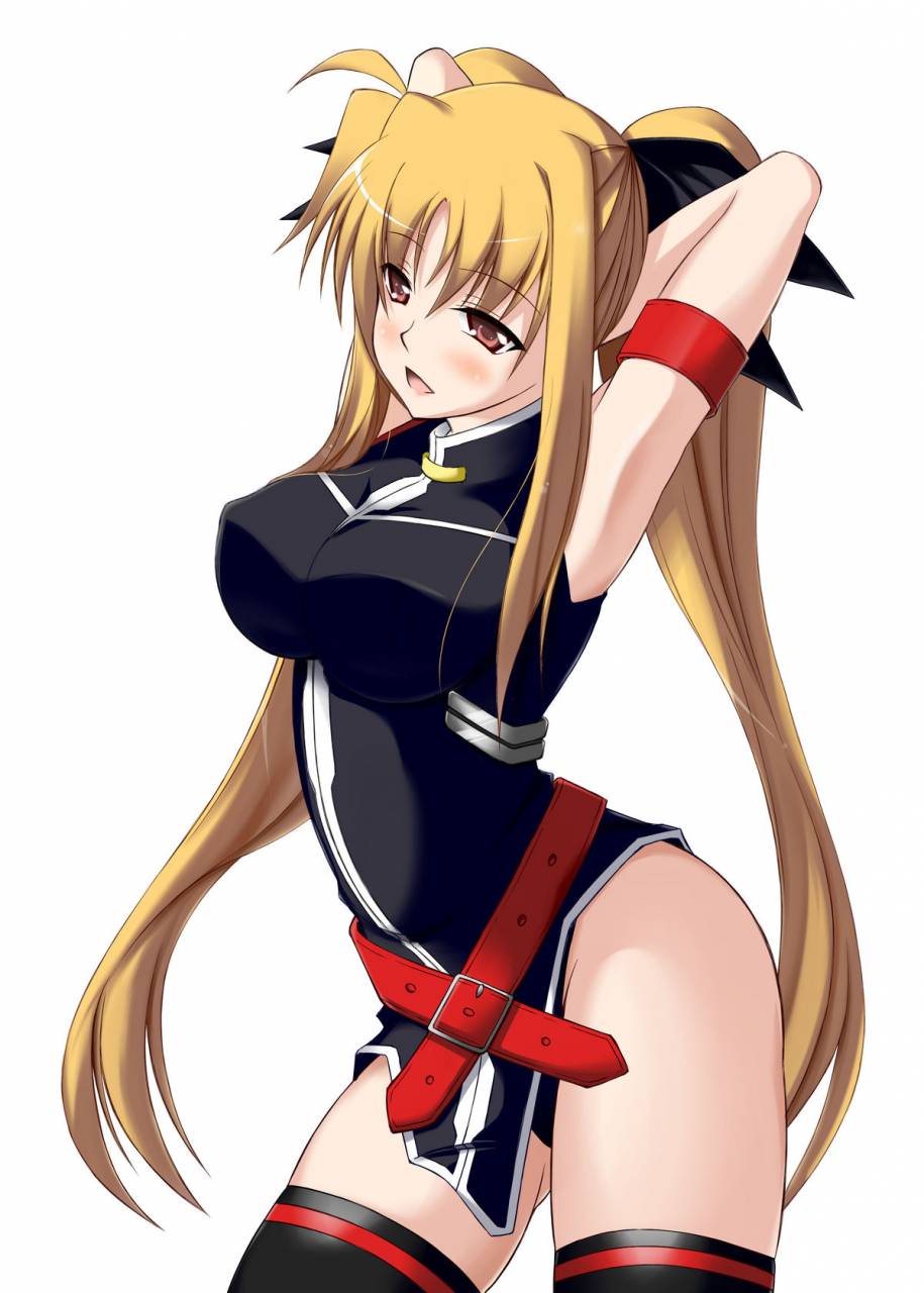 comic103-arcs-sakura-yuu-se-previous-sidef-mahou-shoujo-lyrical-nanoha