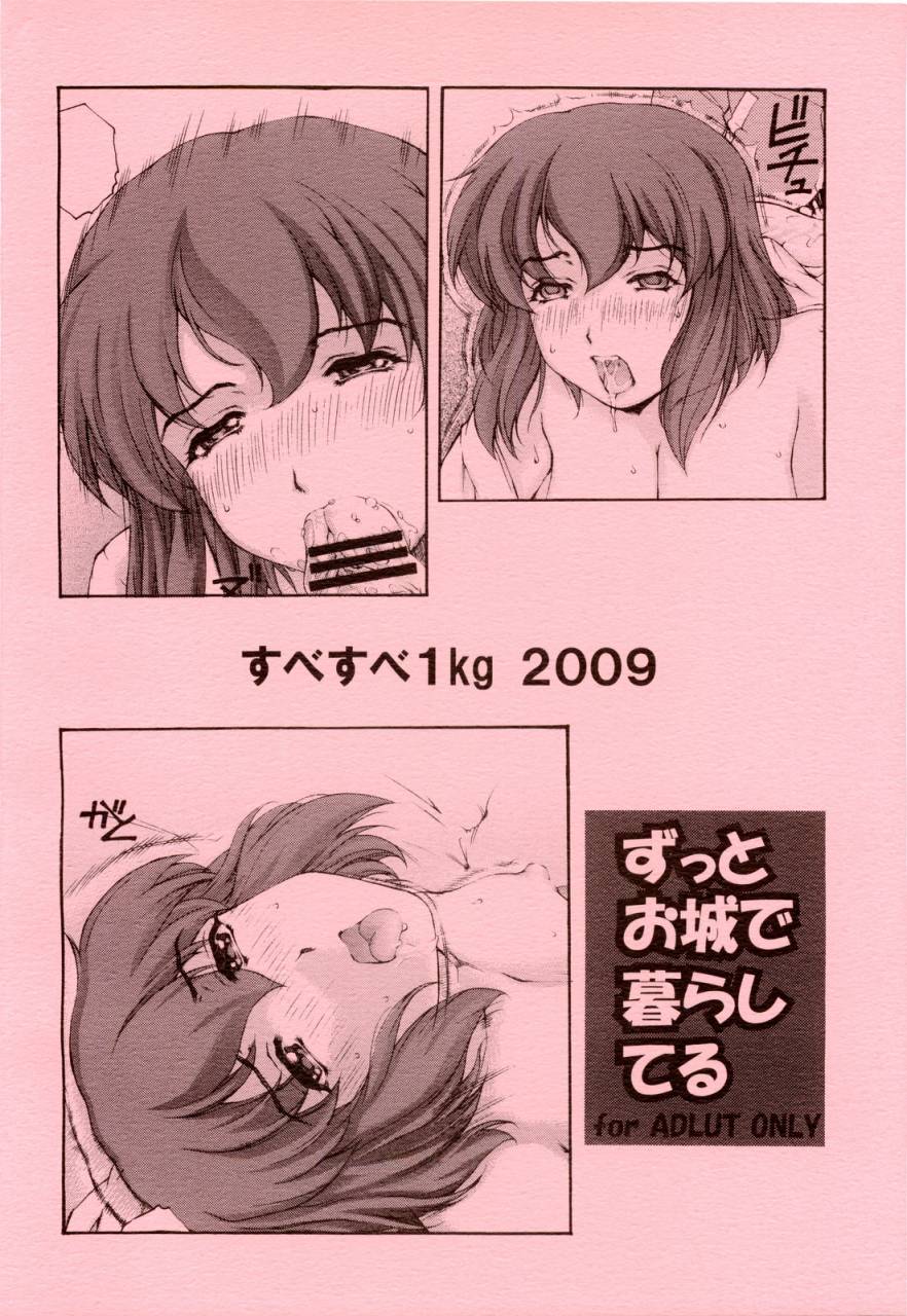 comic13-subesube1kg-narita-kyousha-zutto-oshiro-de-kurashiteru-zero-no-tsukaima