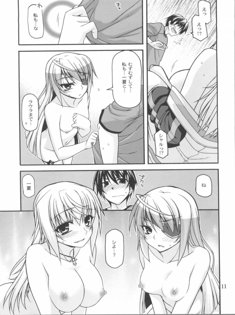 comic15-crimson-ground-miyashiro-sousuke-schwarzer-rafale-infinite-stratos