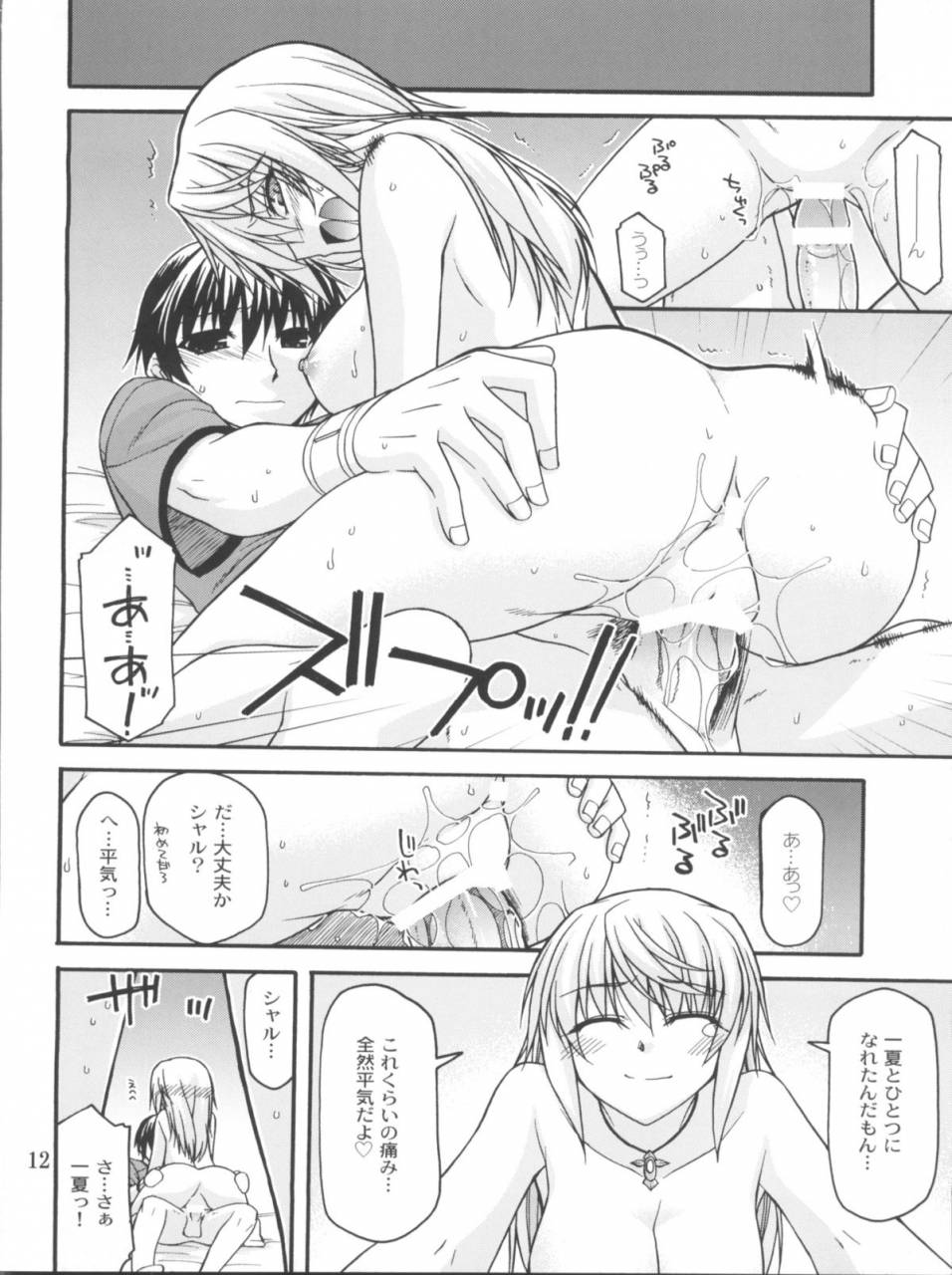 comic15-crimson-ground-miyashiro-sousuke-schwarzer-rafale-infinite-stratos