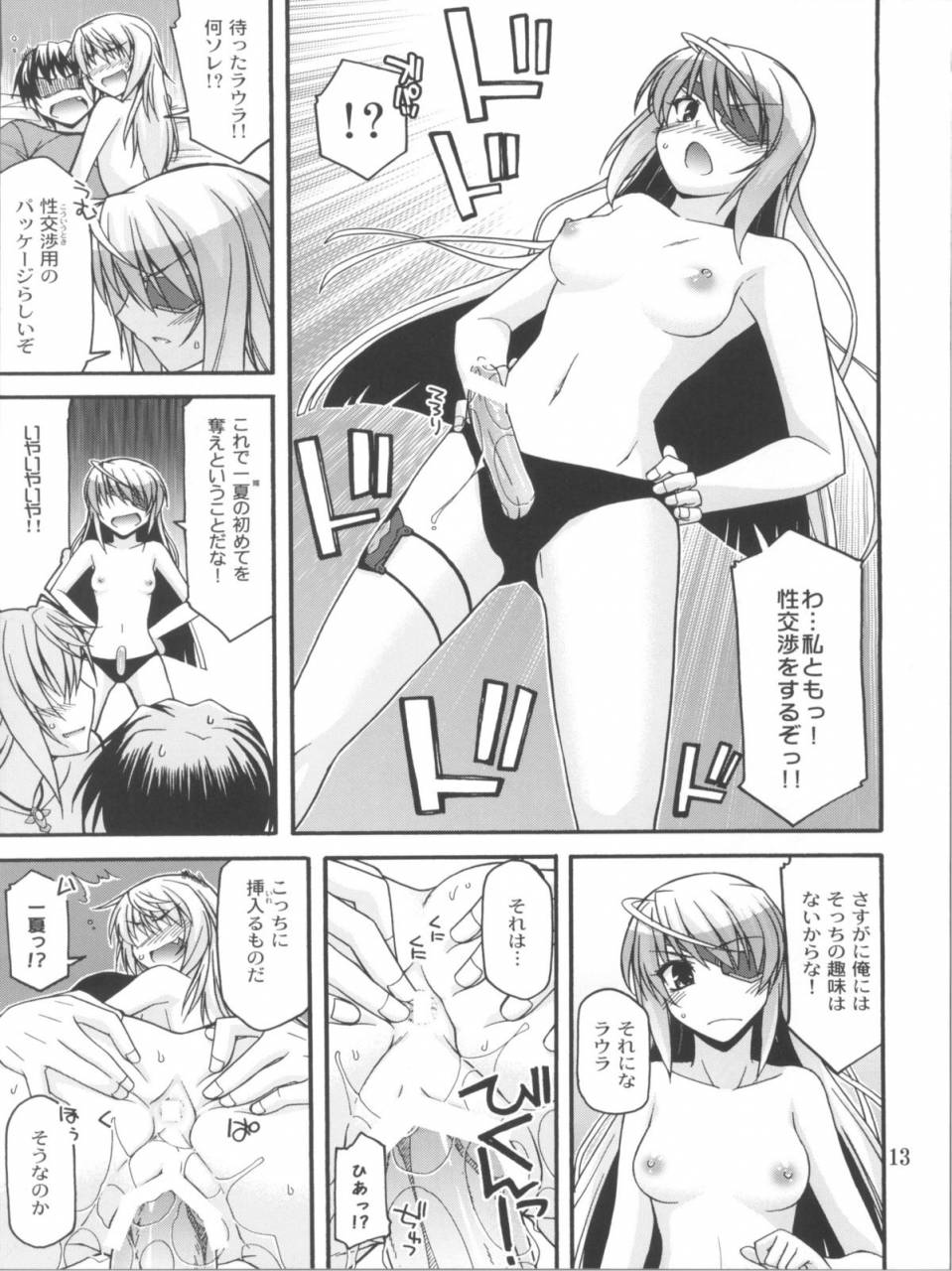 comic15-crimson-ground-miyashiro-sousuke-schwarzer-rafale-infinite-stratos