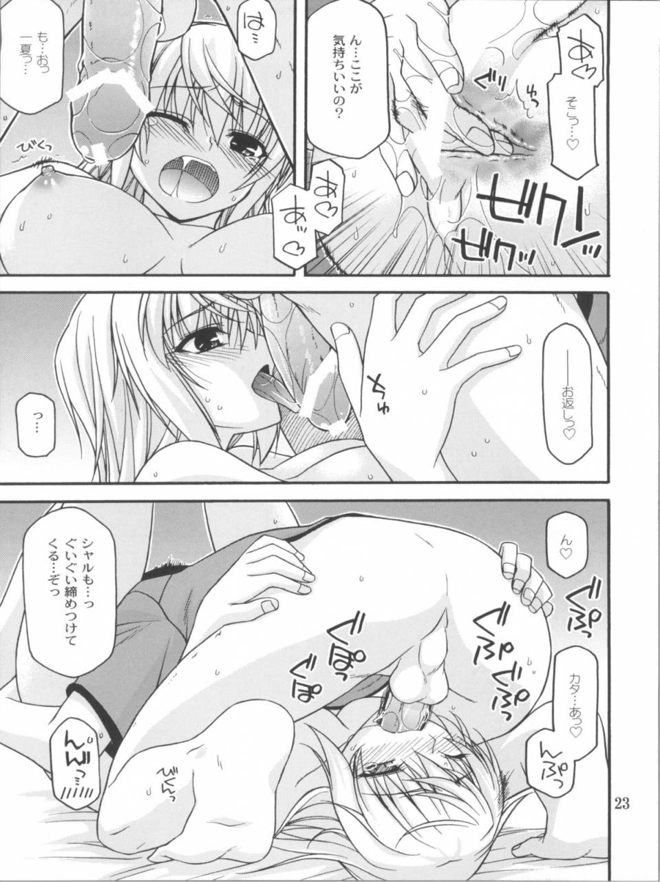comic15-crimson-ground-miyashiro-sousuke-schwarzer-rafale-infinite-stratos