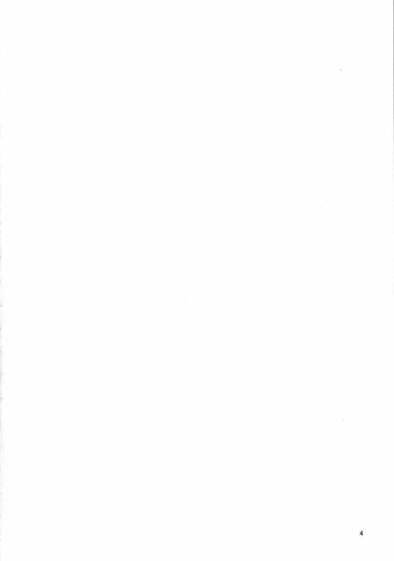 (C88) [Yume no Niwatori Goya (Sabano Niwatori)] Sex Friend (Kari) 2 (Girl Friend BETA)_03