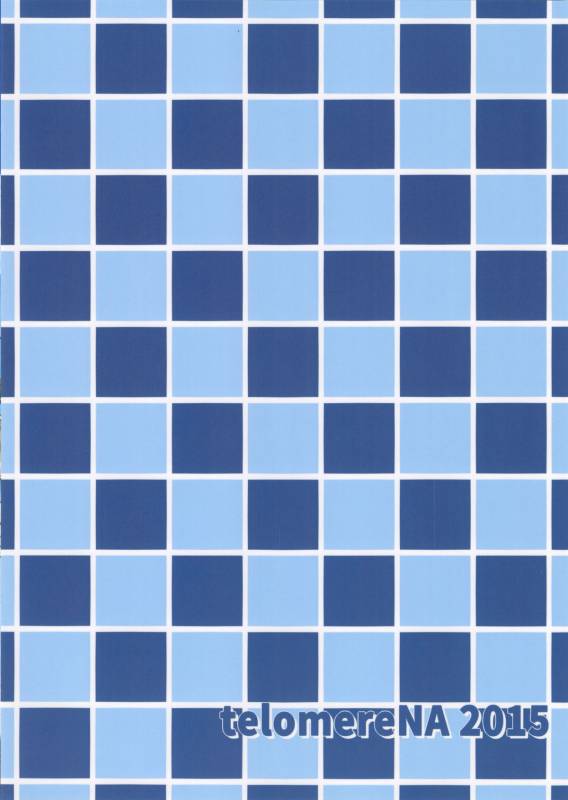 (C88) [telomereNA (Gustav)] Kouiuno ga Sukinan desuka (Granblue Fantasy)_18