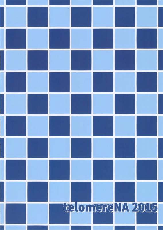 (C88) [telomereNA (Gustav)] Kouiuno ga Sukinan desuka (Granblue Fantasy) [Chinese] [无毒汉化组]_19