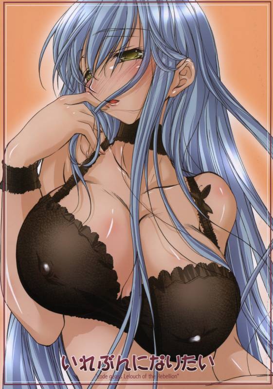 (COMIC1) [Kaiki Nisshoku (Ayano Naoto)] Eleven ni Naritai (Code Geass)_00