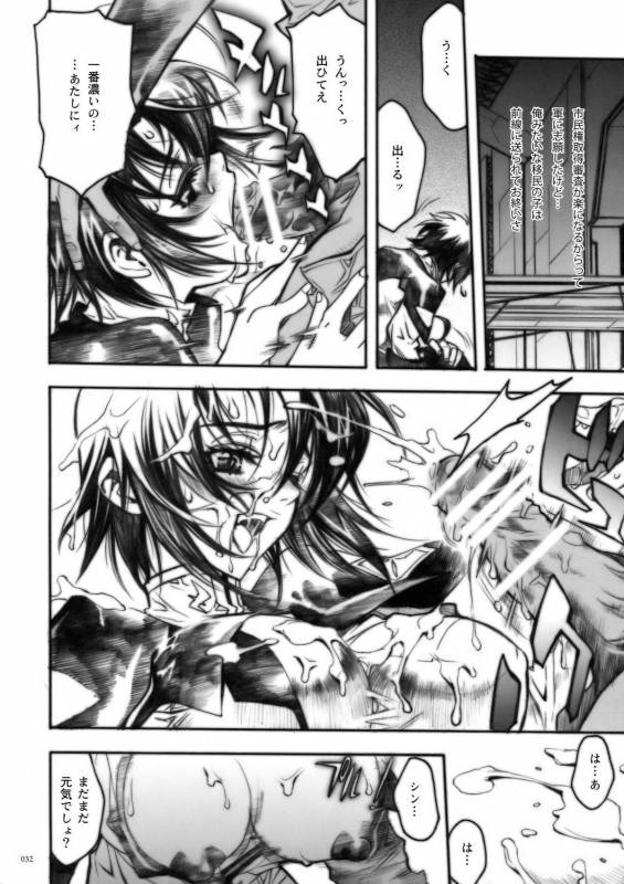 (COMIC1) [PIGGSTAR (Nagoya Shachihachi)] DEFENSEFORM (Various)_029