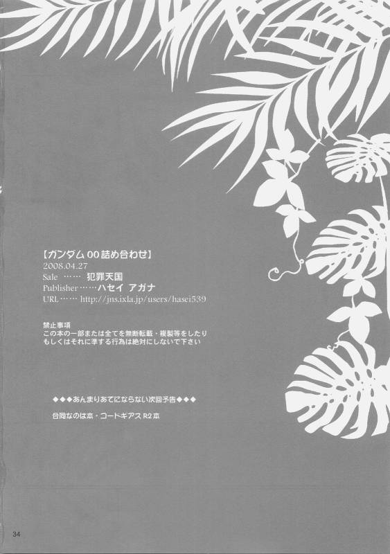 (COMIC1☆02) [Hanzai Tengoku (Hasei Agana)] 00 Tsumeawase (Mobile Suit Gundam 00)_32