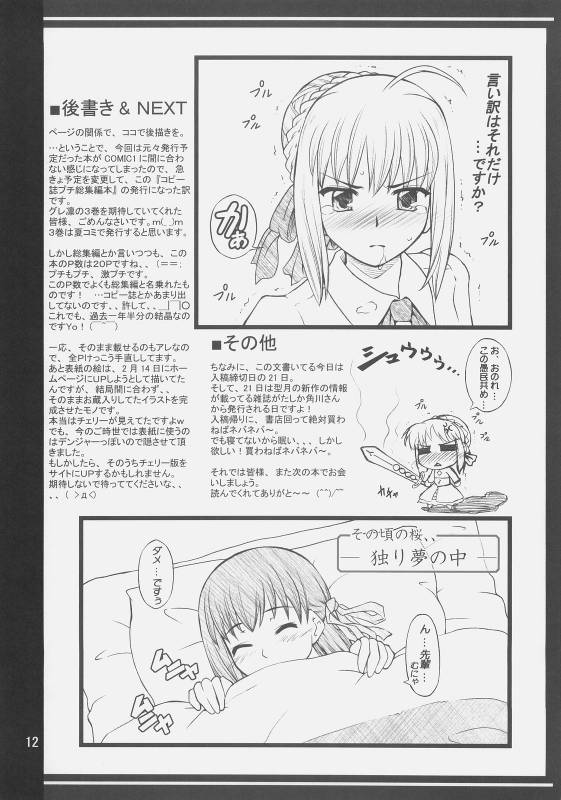 (COMIC1☆02) [PURIMOMO (Goyac)] kopuhen (Fatestay night)_10