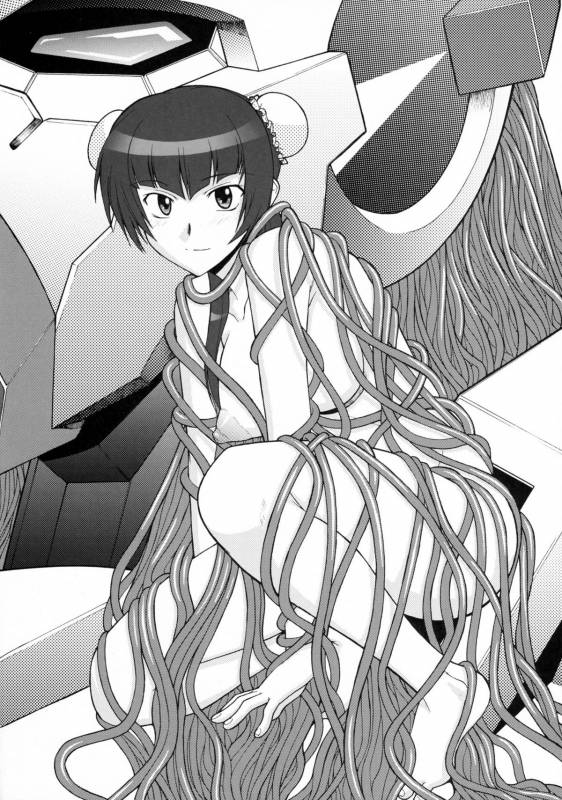 (COMIC1☆2) [Shuudan Bouryoku (Murasaki Syu] Lost My Career (Gundam 00)_04