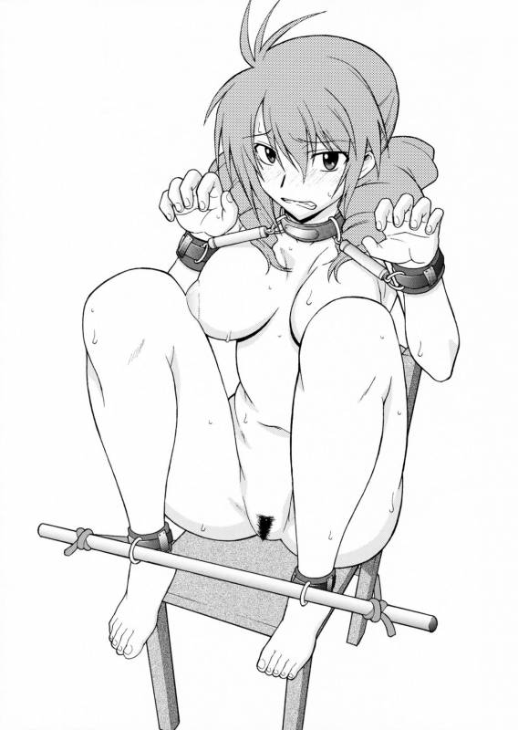 (COMIC1☆2) [Shuudan Bouryoku (Murasaki Syu] Lost My Career (Gundam 00)_05