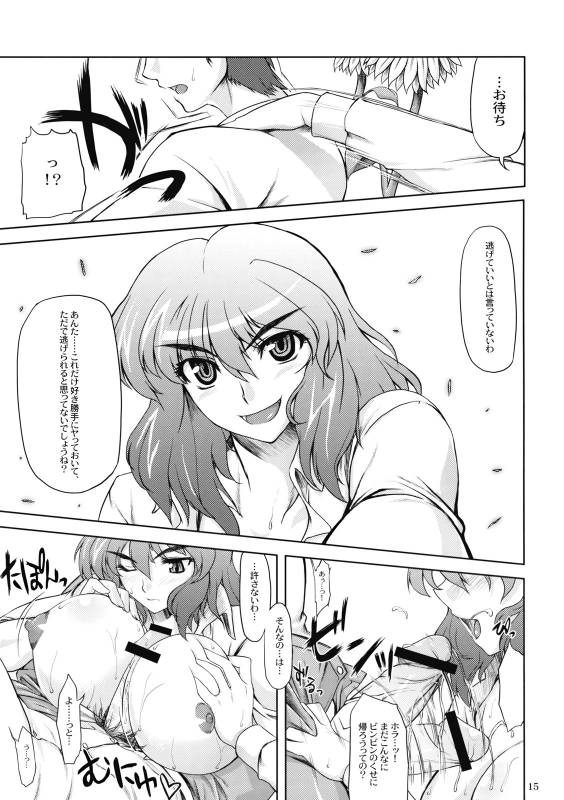 (COMIC1☆3) [04U (Misasagi Tasuku)] Taiyou no Hatake Nite (Touhou Project)_14