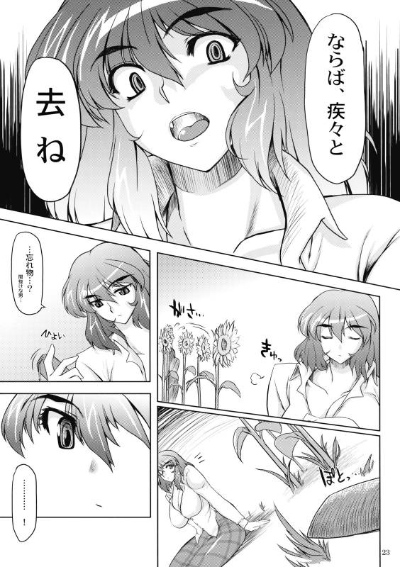 (COMIC1☆3) [04U (Misasagi Tasuku)] Taiyou no Hatake Nite (Touhou Project)_21