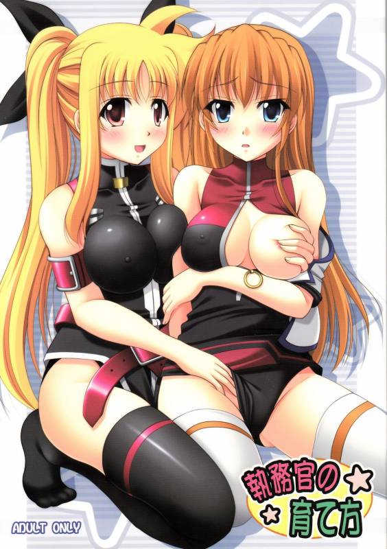 (COMIC1☆3) [K-Drive (Narutaki Shin)] Shitsumukan no Sodate Kata (Mahou Shoujo Lyrical Nanoha)_00