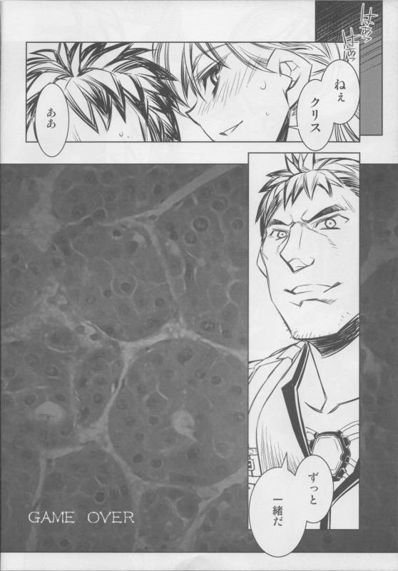 (COMIC1☆3) [Kashiwa-ya (Hiyo Hiyo)] RESIDENT DESIRE (Resident Evil)_14