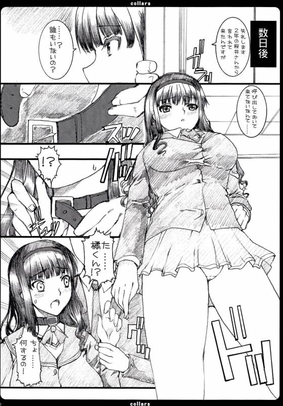 (COMIC1☆3) [Neko to Hato (Hatoya Mameshichi)] collars ~Tachibana Junichi no Gyakushuu~ (Amagami)_08