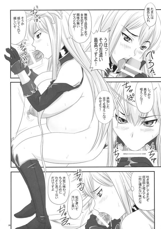 (COMIC1☆3) [Nozarashi (Nozarashi Satoru)] Senjou no Valkyria Dase, Selvaria no Naka ni (Valkyria Chronicles)_26