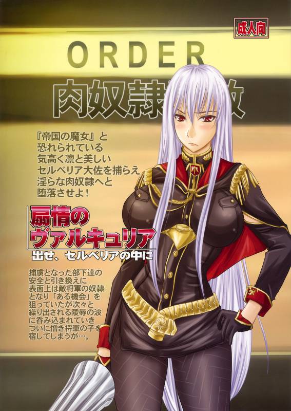 (COMIC1☆3) [Nozarashi (Nozarashi Satoru)] Senjou no Valkyria Dase, Selvaria no Naka ni (Valkyria Chronicles)_41