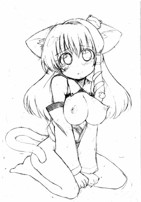 (COMIC1☆4) [Akousoku Engine (Azumi Haruhito)] Sanapai (Kari) (Touhou Project)_01