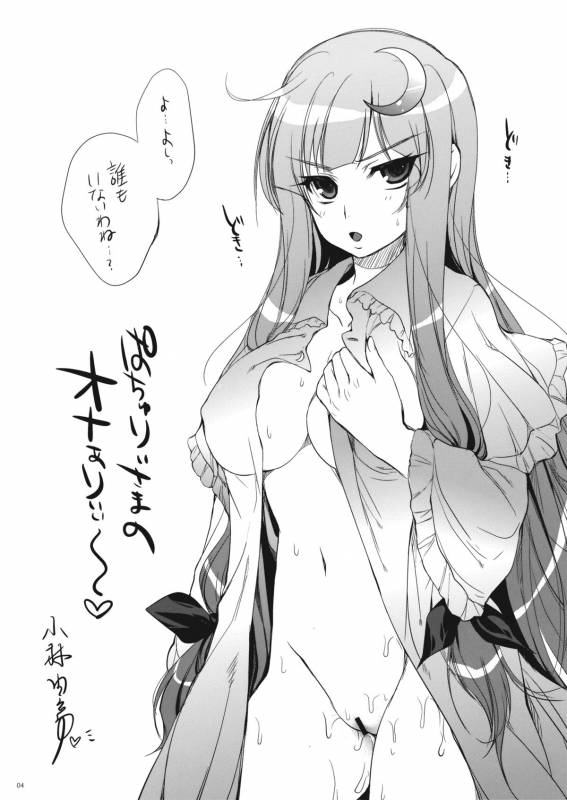 (COMIC1☆4) [Alemateorema (Kobayashi Youkoh)] GariGari 23 (Touhou Project)_03