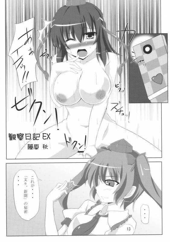 (COMIC1☆4) [Amadeus no Isan (Fujihara Shu, Aoba Shou)] Tengu FEVER (Touhou Project)_12