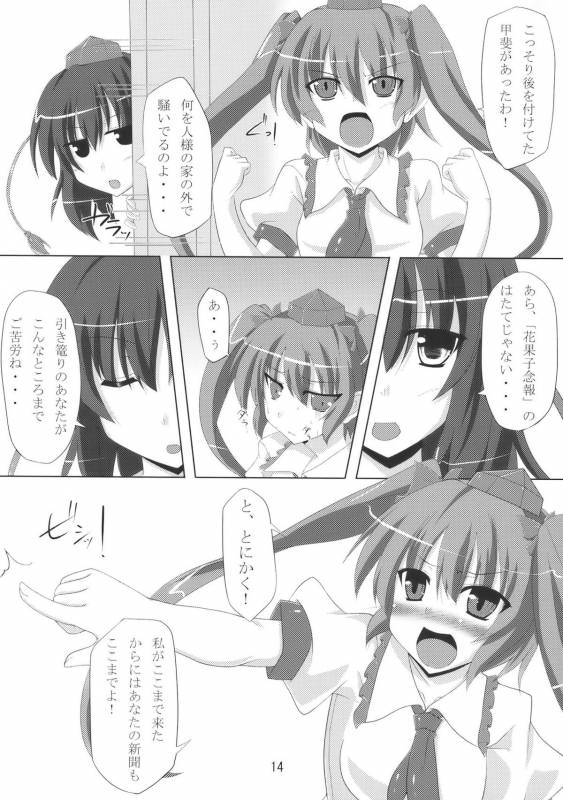 (COMIC1☆4) [Amadeus no Isan (Fujihara Shu, Aoba Shou)] Tengu FEVER (Touhou Project)_13