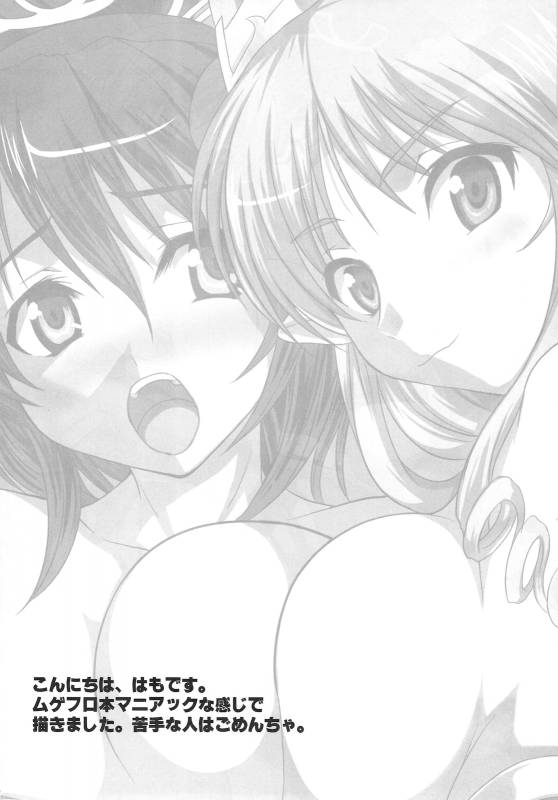 (COMIC1☆4) [An-Arc (Hamo)] PRIN PRINCESS (Mugen no Frontier)_02