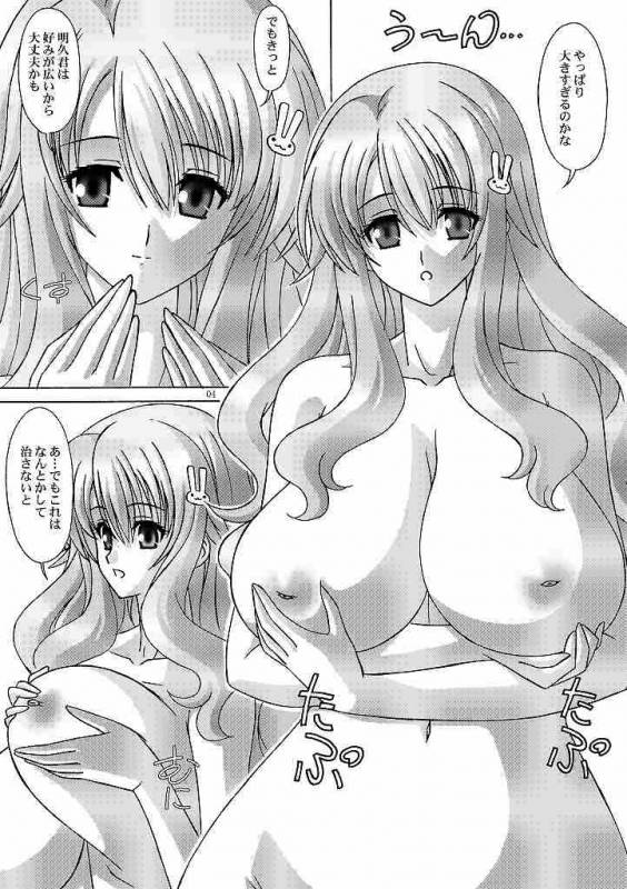 (COMIC1☆4) [Bousou!! Fuhatsudan (Takai Biki)] Himeji Mizuki ga Issho (Baka to Test to Shoukanjuu)_03