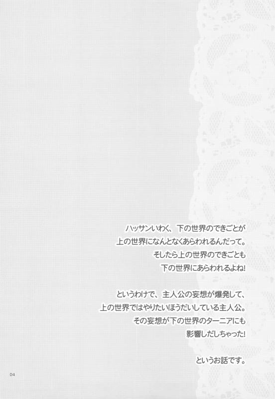 (COMIC1☆4) [CASMANIA (Mozuya Murasaki)] Dameda Ore Mou Imouto Shika Mienai...! (Dragon Quest VI)_03