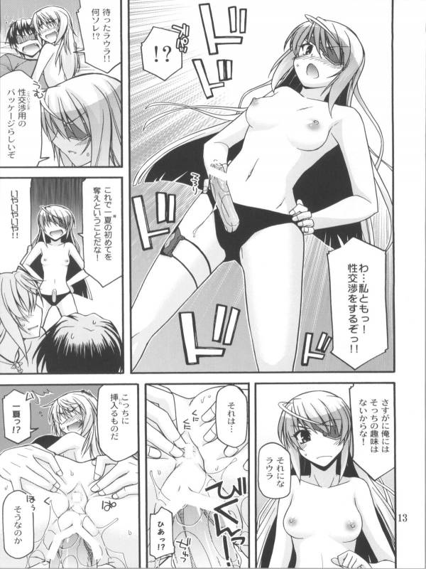 (COMIC1☆5) [CRIMSON GROUND (Miyashiro Sousuke)] Schwarzer Rafale (Infinite Stratos)_11