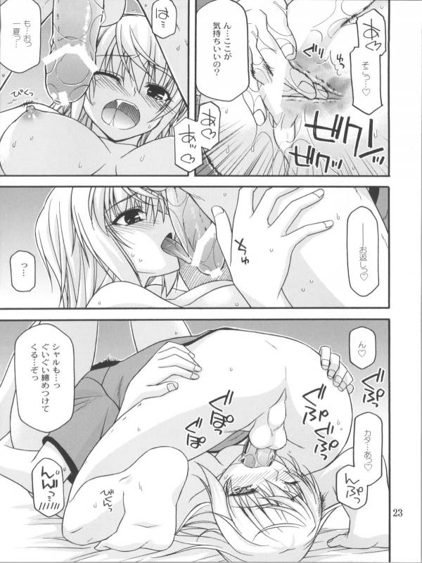 (COMIC1☆5) [CRIMSON GROUND (Miyashiro Sousuke)] Schwarzer Rafale (Infinite Stratos)_21