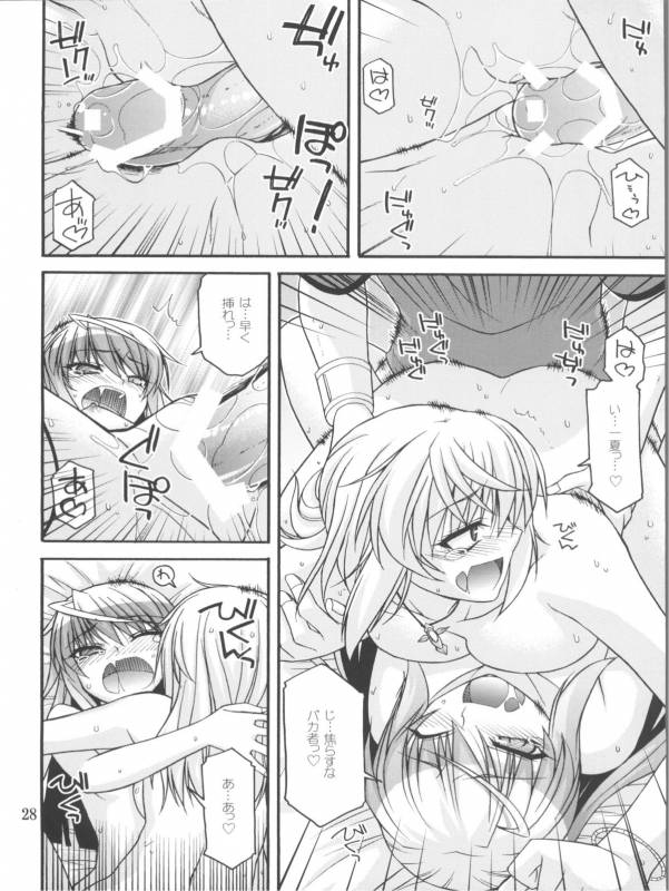 (COMIC1☆5) [CRIMSON GROUND (Miyashiro Sousuke)] Schwarzer Rafale (Infinite Stratos)_26