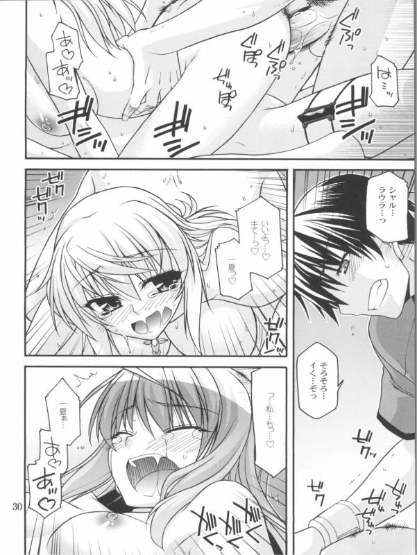 (COMIC1☆5) [CRIMSON GROUND (Miyashiro Sousuke)] Schwarzer Rafale (Infinite Stratos)_28