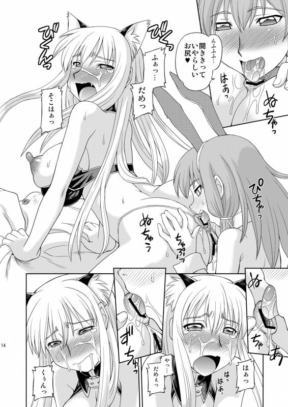 (COMIC1☆5) [Jack-O'-Lantern (Neriwasabi)] Selvaria Oppai (Valkyria Chronicles)_12