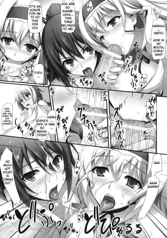 (COMIC1☆5) [Mugenkidou A (Tomose Shunsaku)] INFINITY's (IS Infinite Stratos) [English] [Kibitou4Life]_13
