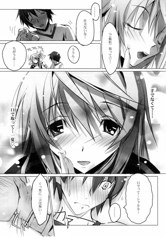 (COMIC1☆5) [RYU-SEKI-DO (Nagare Hyo-go)] LS Lovers Striker II (IS Infinite Stratos)_01