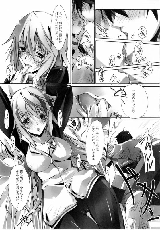(COMIC1☆5) [RYU-SEKI-DO (Nagare Hyo-go)] LS Lovers Striker II (IS Infinite Stratos)_03