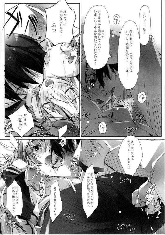 (COMIC1☆5) [RYU-SEKI-DO (Nagare Hyo-go)] LS Lovers Striker II (IS Infinite Stratos)_04