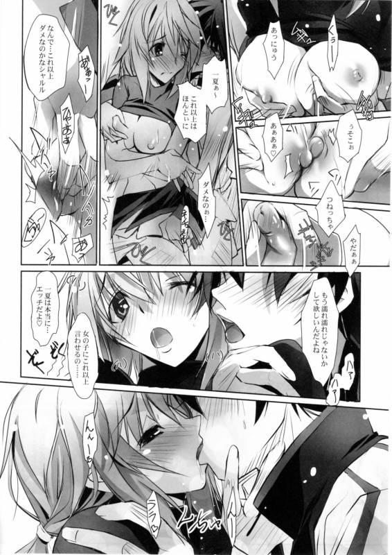 (COMIC1☆5) [RYU-SEKI-DO (Nagare Hyo-go)] LS Lovers Striker II (IS Infinite Stratos)_08