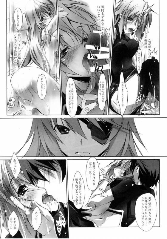 (COMIC1☆5) [RYU-SEKI-DO (Nagare Hyo-go)] LS Lovers Striker II (IS Infinite Stratos)_12