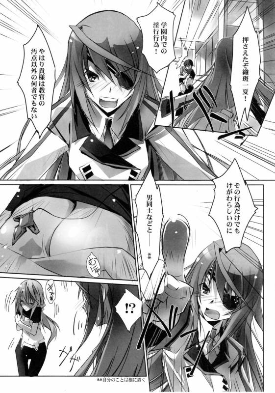 (COMIC1☆5) [RYU-SEKI-DO (Nagare Hyo-go)] LS Lovers Striker II (IS Infinite Stratos)_13