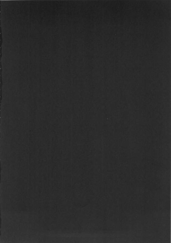 (C88) [Rojiura JACK (Jun)] SHIRITSUBO (Gundam Build Fighters Try)_02