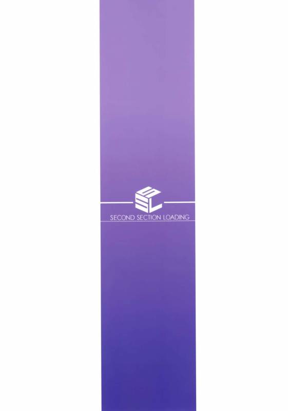 (C88) [S.S.L (Yanagi)] Rider-san to Onsen Yado. Sonogo (Fatestay night) [Chinese] [脸肿汉化组]_24