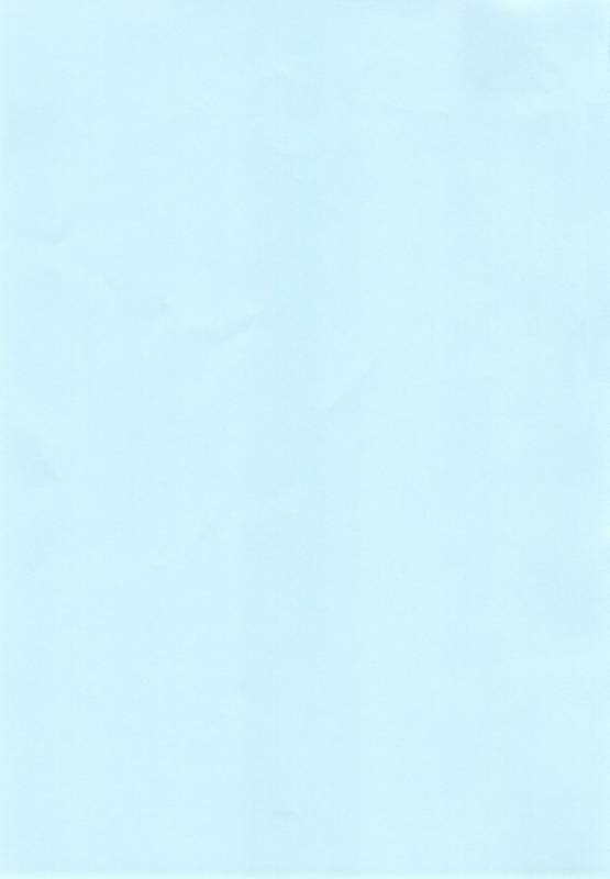 (C88) [STUDIO TIAMAT (TANABE)] BREAK BLUE MARRON SPARRING (BlazBlue) [English] [XCX Scans]_01