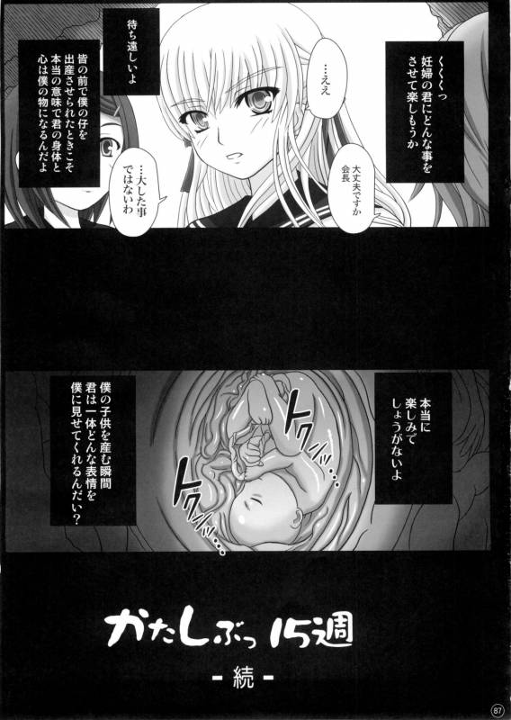 (C88) [Shiawase Kyouwakoku (Shiawase no Katachi)] Katashibut 0-2-15week_86