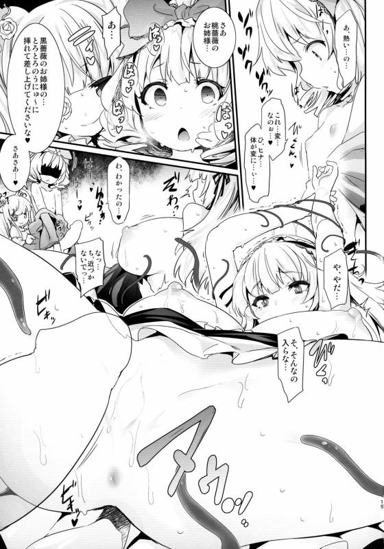 (C88) [Tousen Soudou (Tousen)] Bara Niku! (Rozen Maiden)_14