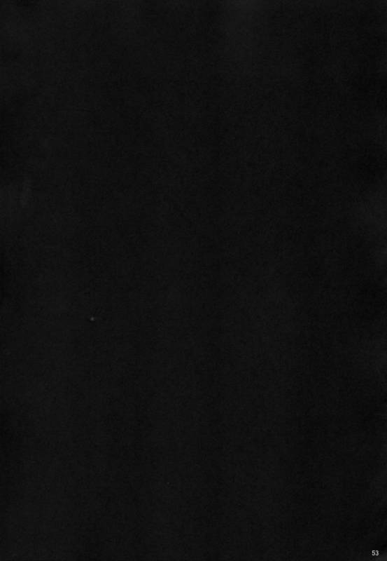 (C88) [Yamada Ichizoku. (Fukurokouji, Mokyu)] Seidorei Senki (Go! Princess PreCure)_52