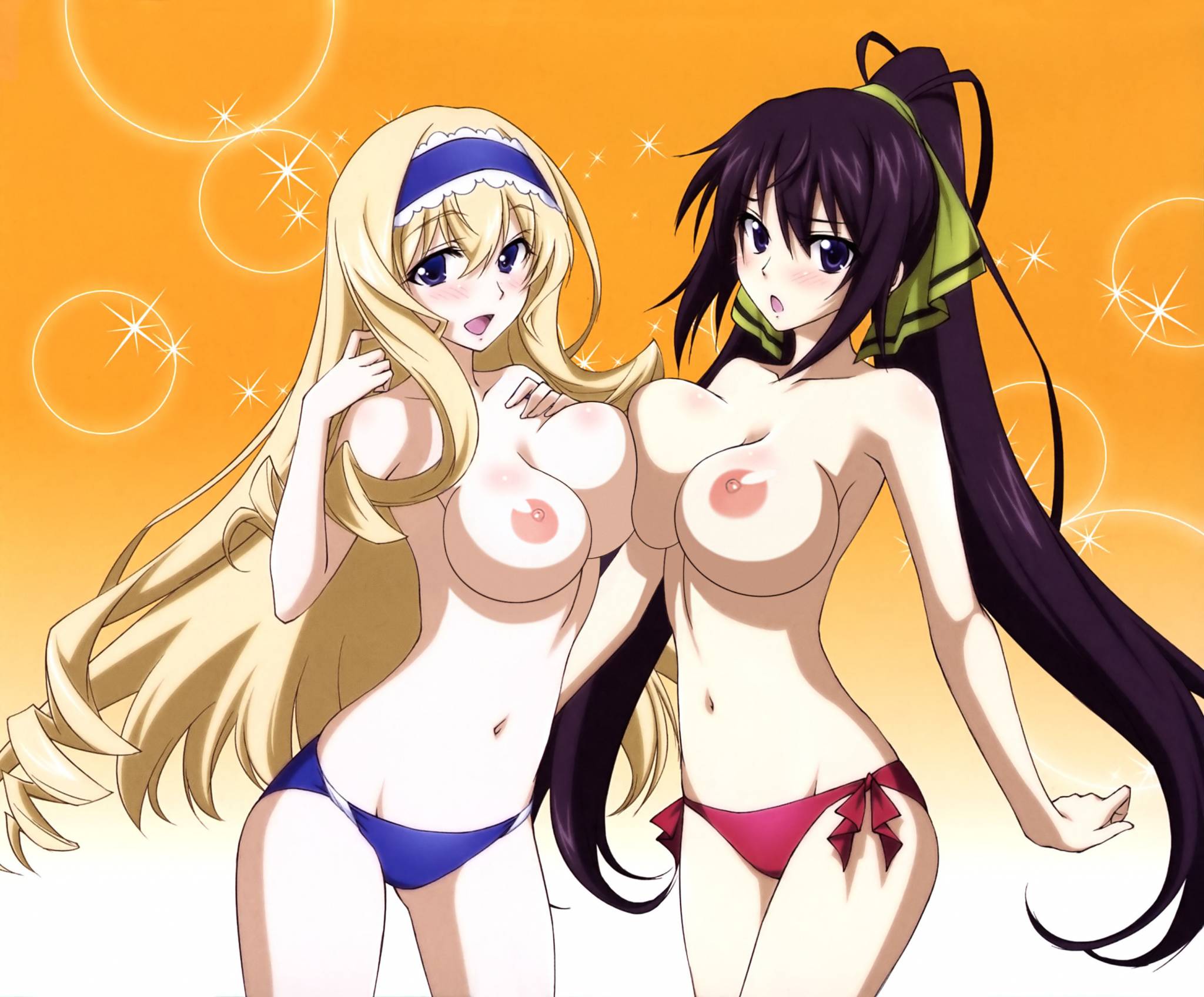 Infinite stratos хентаи манга фото 54