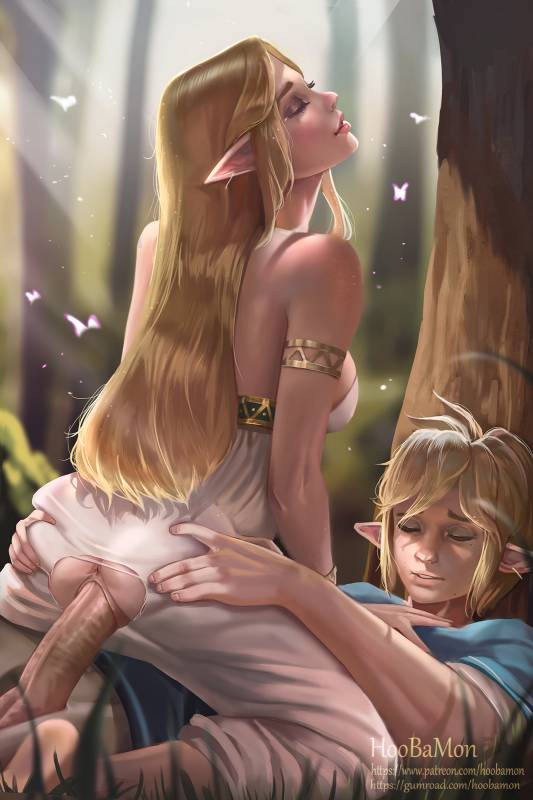 link+princess zelda